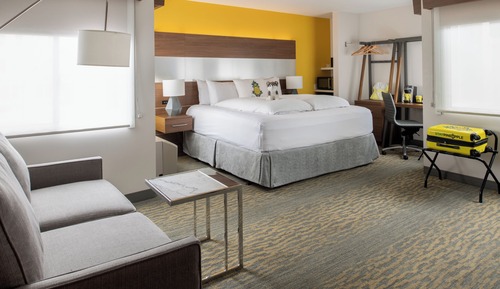 Suite, 1 King Bed with Sofa bed (Z)