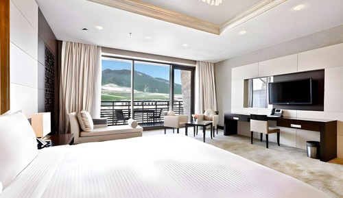 Junior Suite (Plaza View)