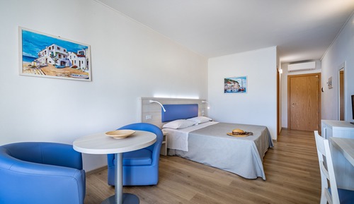 Superior Studio, 1 Bedroom, Microwave, Park View