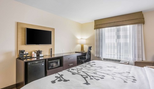 Room, 1 King Bed