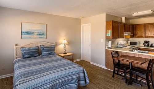 Studio, 1 Queen Bed, Kitchen (APT 3)