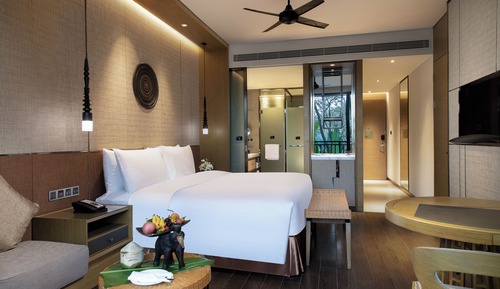 DELUXE KING ROOM  