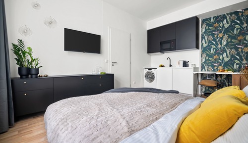 Classic Apartment