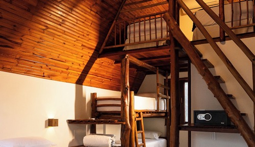 Standard Shared Dormitory