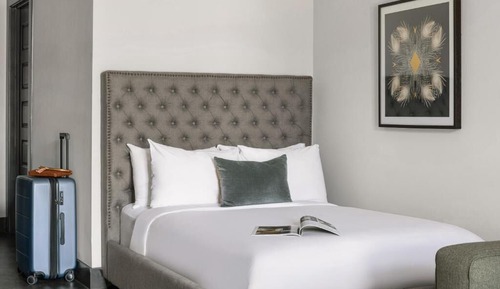 Standard Studio, 1 Queen Bed with Sofa bed