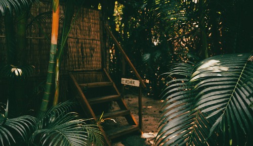 Standard Single Room, Garden View
