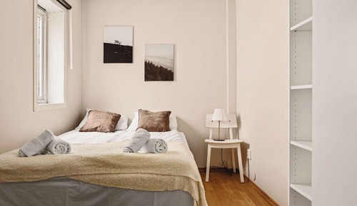 Comfort Apartment, 1 Double Bed with Sofa bed, Non Smoking, Pets Allowed