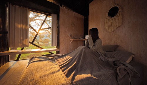 Family Tree House, Mountain View