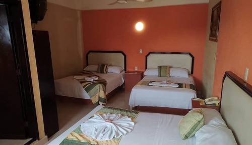 Family Double or Twin Room