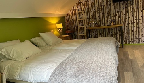 Classic Twin Room