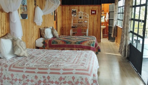 Deluxe Twin Room, Garden View