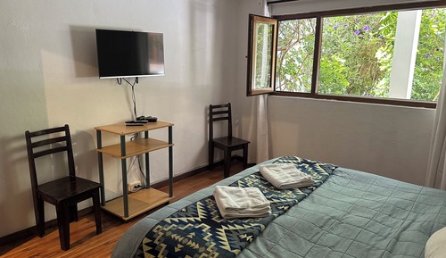 Standard Apartment, Kitchen, Garden View
