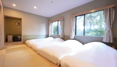 Deluxe Room, Non Smoking