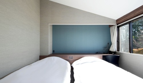 Superior Twin Room, Non Smoking