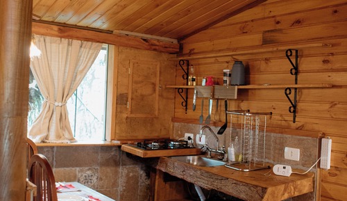 Cabin (6)