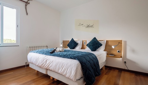 Superior Double or Twin Room, Balcony