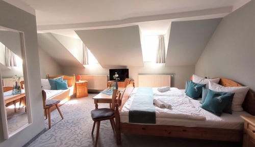Basic Triple Room