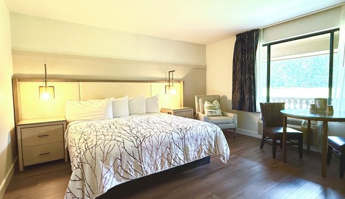 Premium Room, 1 King Bed, Balcony, Mountain View