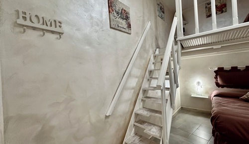 Basic Apartment
