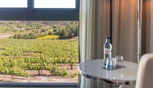 Double Room Single Use, Vineyard View