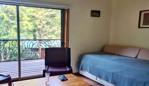 House, Garden Area (Araucaria)