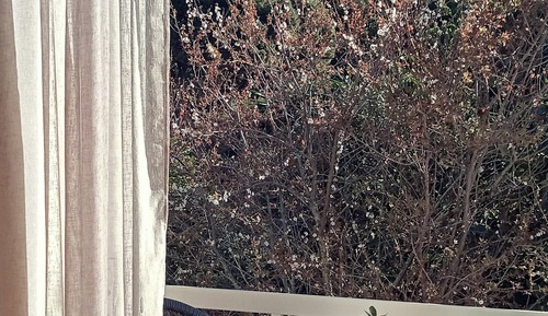 Double or Twin Room, Balcony, Garden View