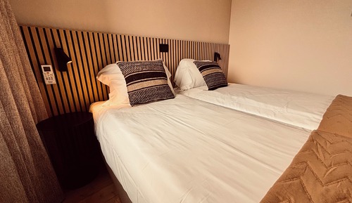 Deluxe Double or Twin Room, Mountain View