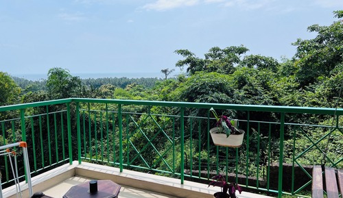 Tequila Sunset Seaview Pinacolato 2B