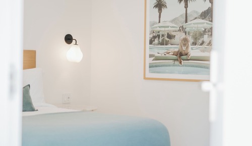 Room, 1 King Bed