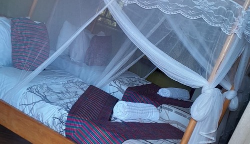 Basic Double or Twin Room