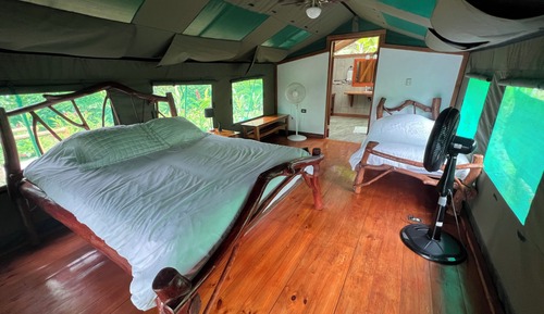 Standard Tent, Mountain View