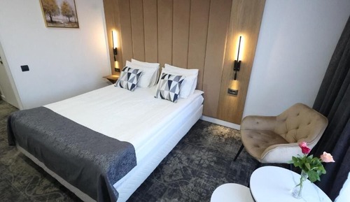 Superior Double or Twin Room, Mountain View