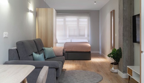 Comfort Studio with Sofa Bed