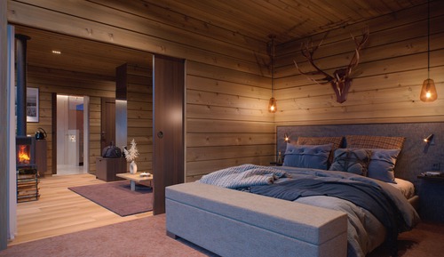 Deluxe Chalet, Park View (Arctic Sky Villa)