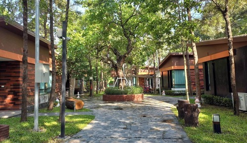 Room, Private Bathroom, Courtyard View