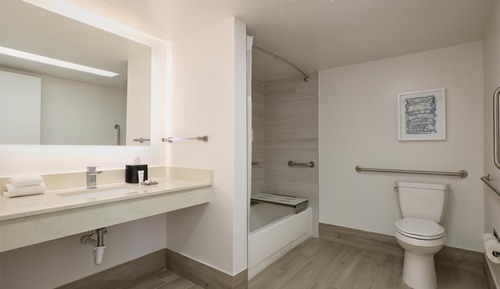 Room, 1 Queen Bed, Bathtub (Mobility & Hearing)