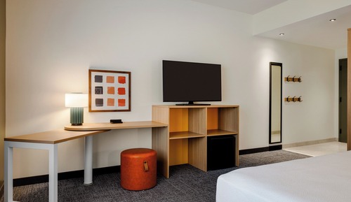 Room, 1 King Bed, Roll-in Shower (Mobility & Hearing)