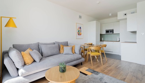 Comfort Apartment