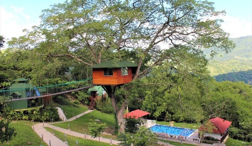 Deluxe Tree House, Balcony, Mountain View