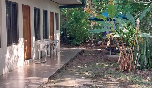 Standard Room, Patio, Garden View