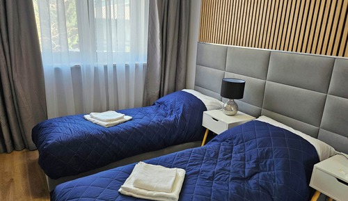 Deluxe Apartment, City View