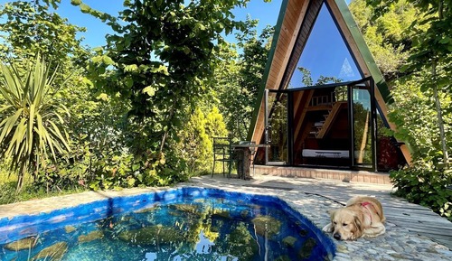 Classic Tree House