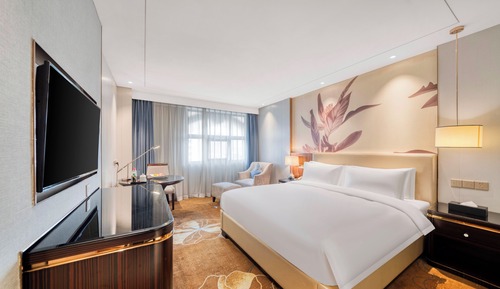 Superior Single Room