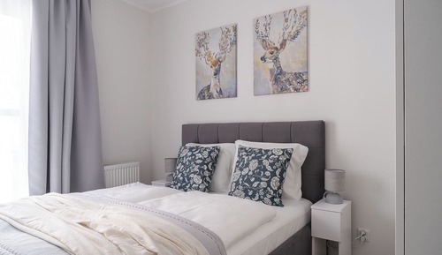 Comfort Apartment