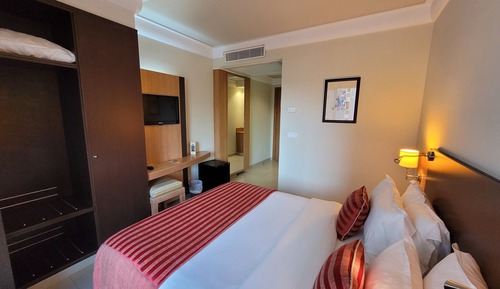 Standard Double Room, 1 King Bed