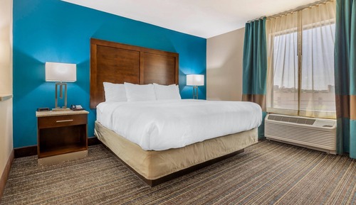 Suite, 1 King Bed with Sofa bed, Accessible, Non Smoking