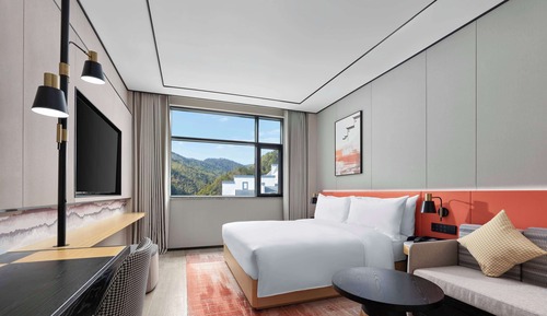 Room, 1 King Bed