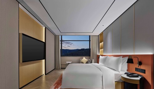Deluxe Suite, 1 King Bed