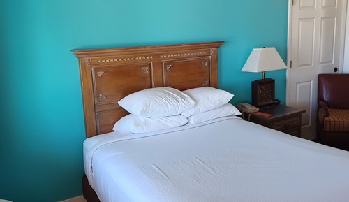 Room, 1 Queen Bed, Accessible, Non Smoking (Roll-In Shower)