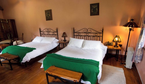 Standard Twin Room, 2 Double Beds